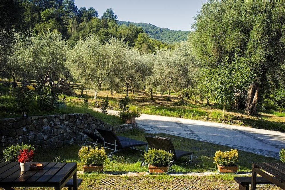 Standard Twin Room, Garden View photo 3