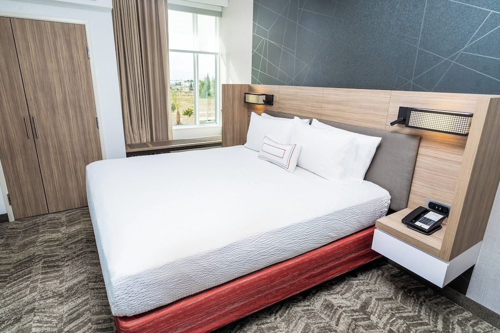 Suite, 1 King Bed with Sofa bed (Hearing Accessible)