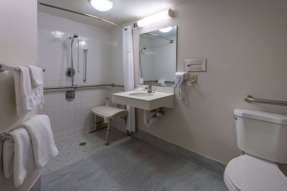 Deluxe Room, 1 Queen Bed, Accessible, Non Smoking (Mobility,Roll-In Shower, Pet-Friendly) - Photo 1
