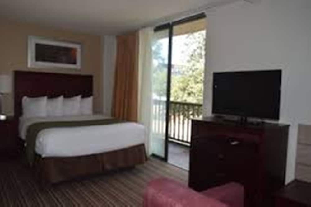 Suite, Multiple Beds, Smoking photo 3