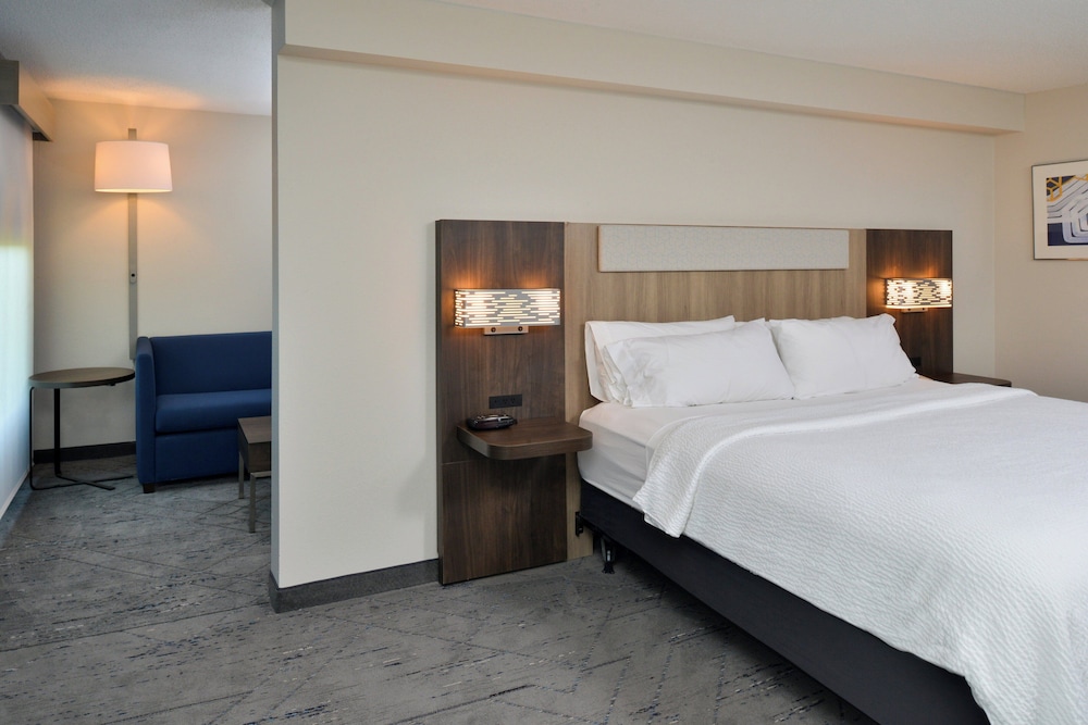 Suite, 1 King Bed - Photo 3