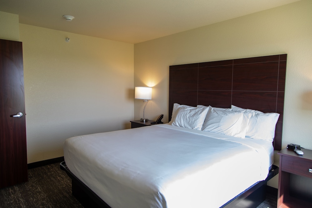 Suite, 1 King Bed with Sofa bed, Accessible, Non Smoking (Audible/Visual Alert) - Photo 4
