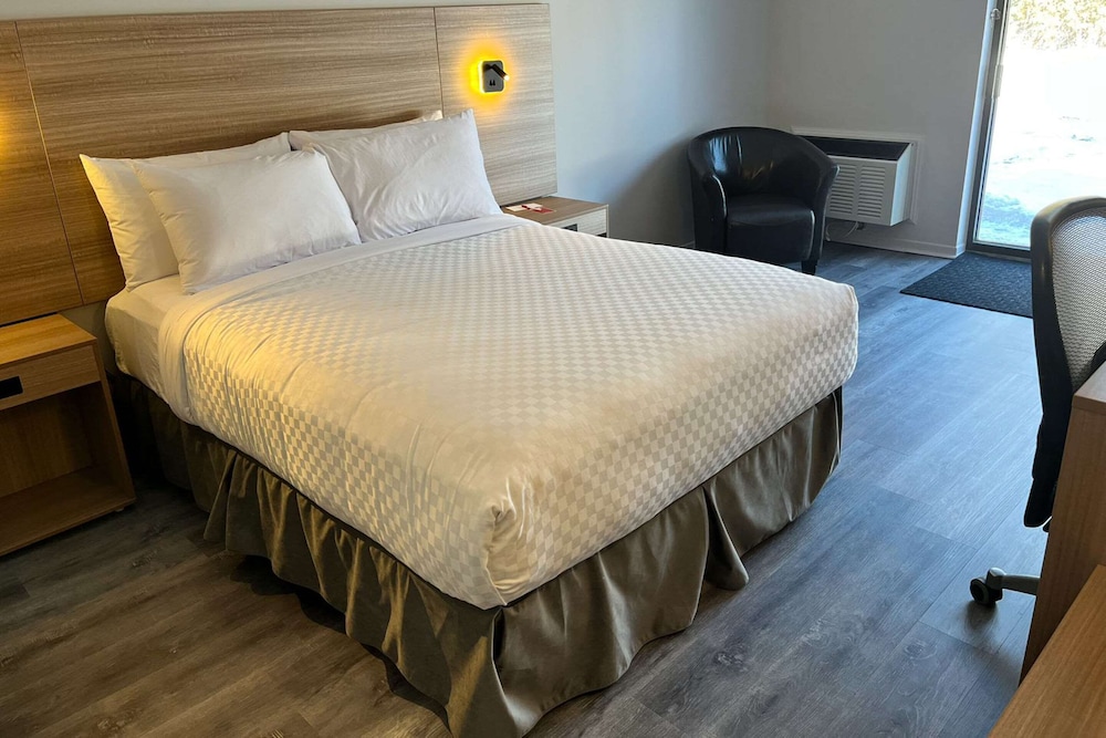 Standard Room, 1 Queen Bed with Sofabed, Second Floor photo 1
