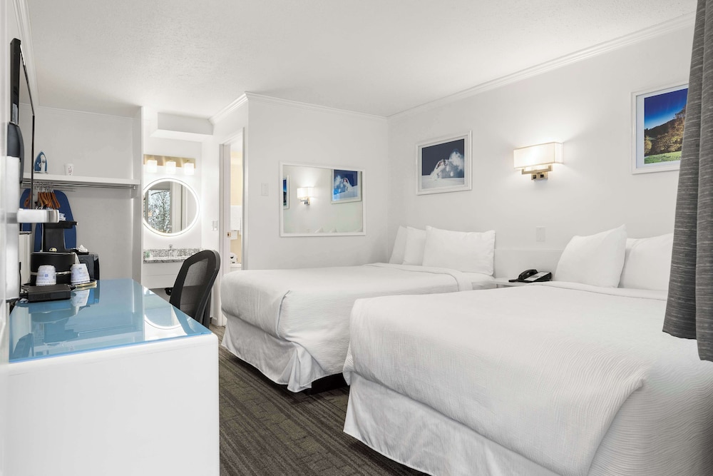 Standard Room, 2 Double Beds, Non Smoking, Refrigerator - Photo 2
