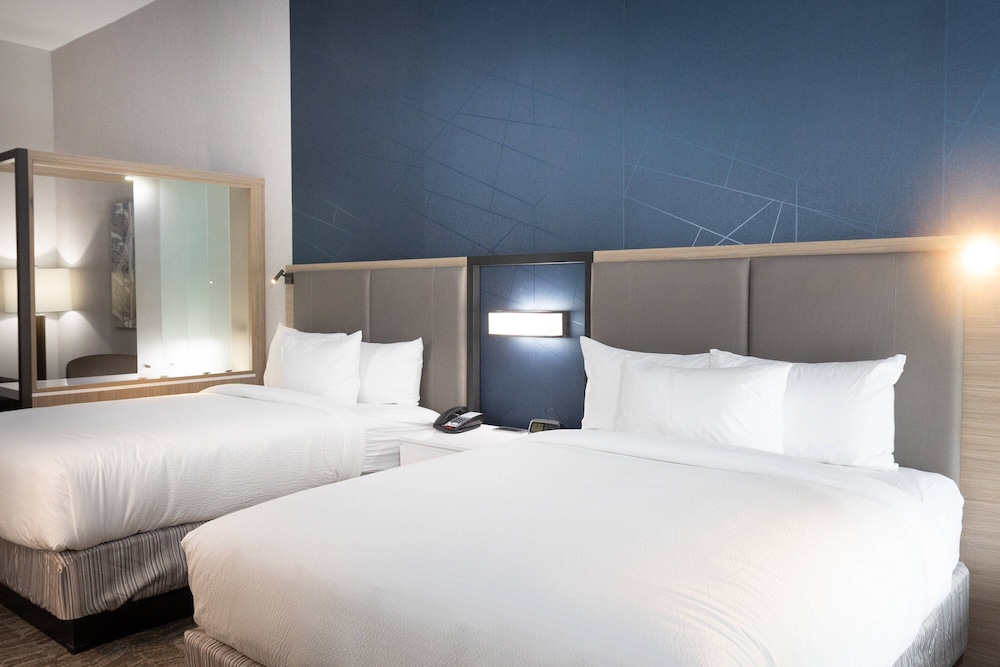 Studio Suite, Multiple Beds