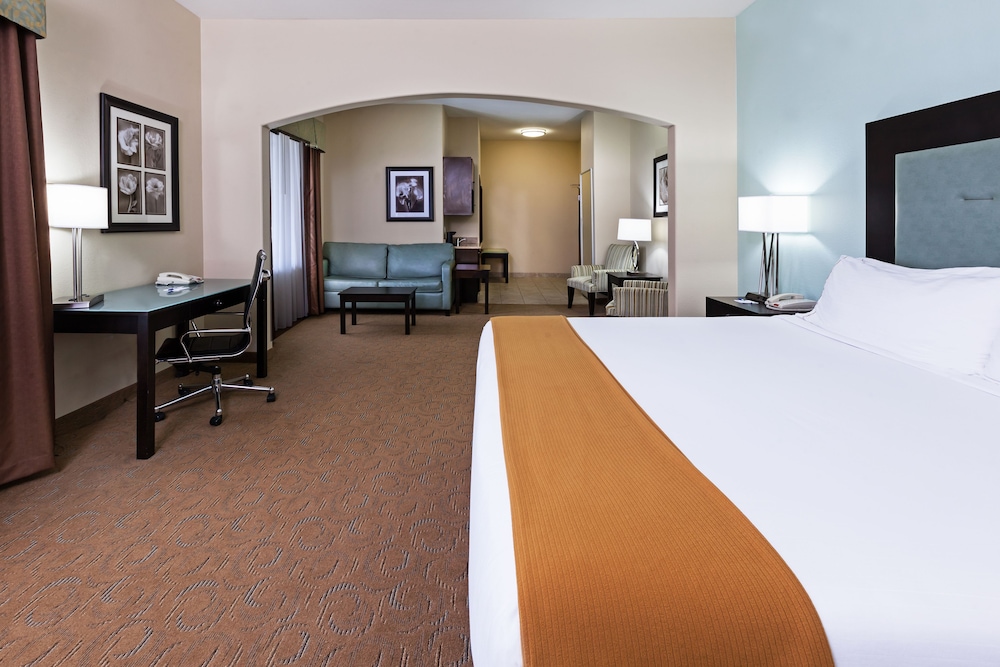 Suite, 1 King Bed - Photo 6