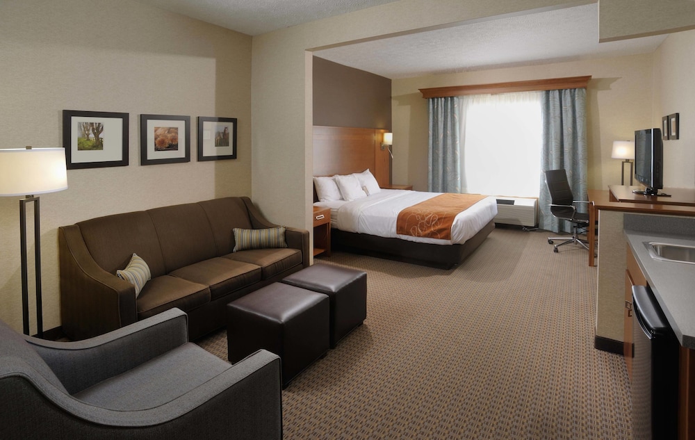 Suite, 1 King Bed - Photo 15