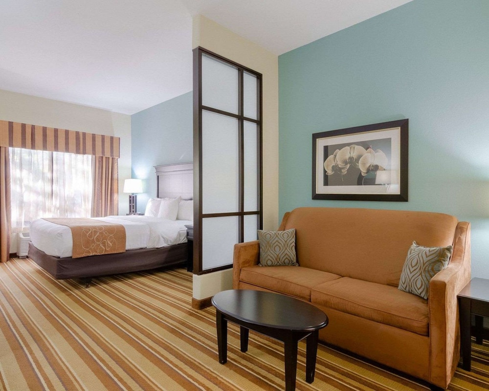 Room, 1 Queen Bed with Sofa bed, Accessible, Non Smoking - Photo 1