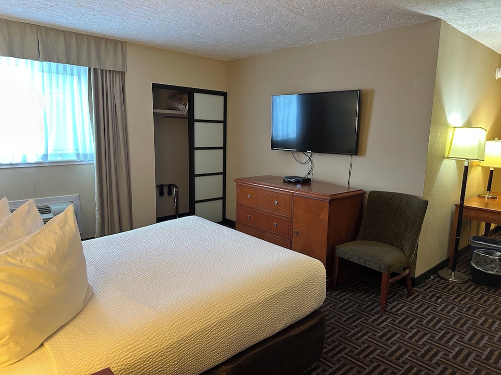 Studio Suite, 1 Queen Bed, Non Smoking - Photo 4
