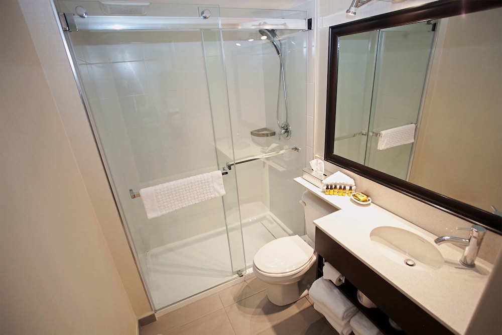 Executive Room, 1 King Bed, Non Smoking, Refrigerator - Photo 8
