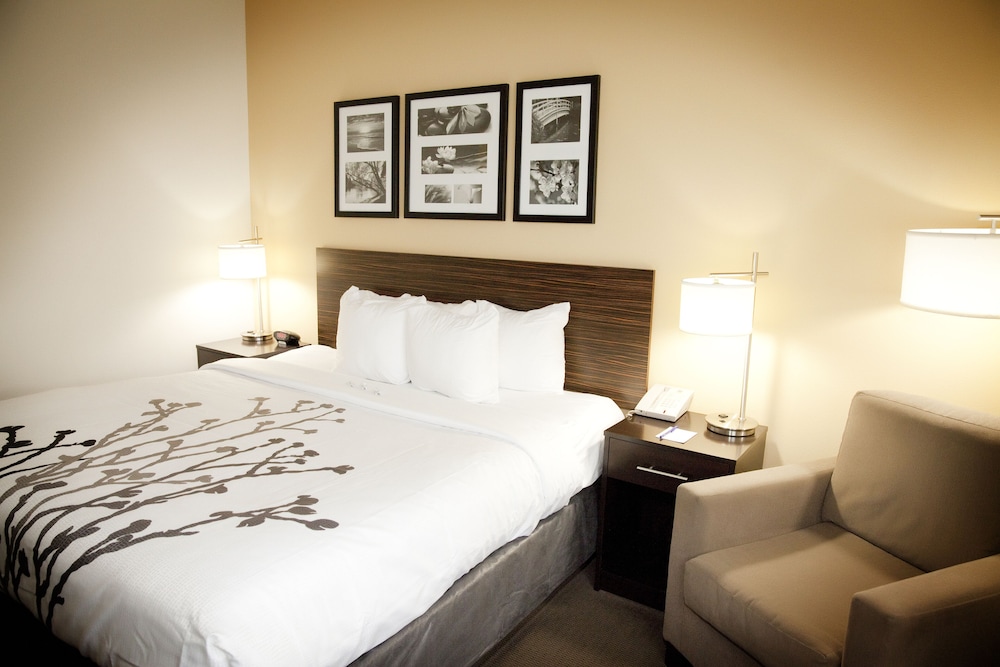 Standard Room, 1 King Bed, Non Smoking photo 1