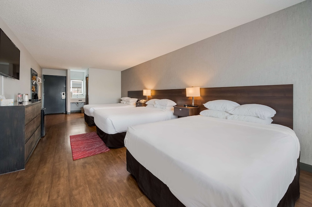 Standard Room, Multiple Beds - Photo 1