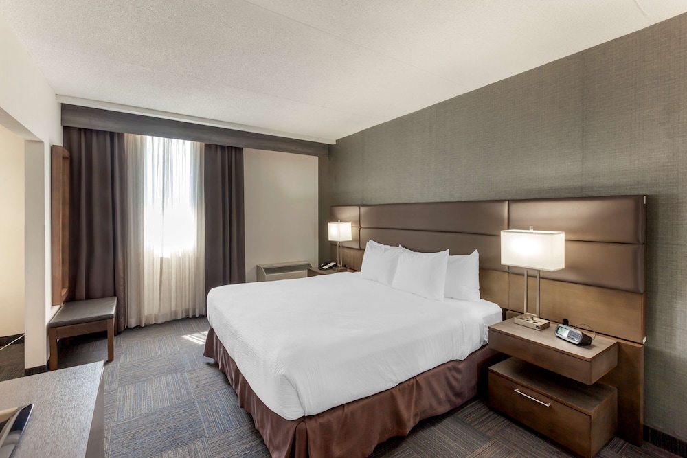 Suite, 1 King Bed, Non Smoking, Kitchenette (with Sofabed)