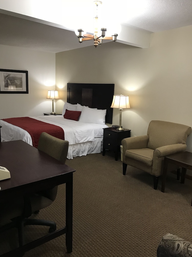 Exclusive Studio Suite, Kitchenette, Ground Floor photo 2