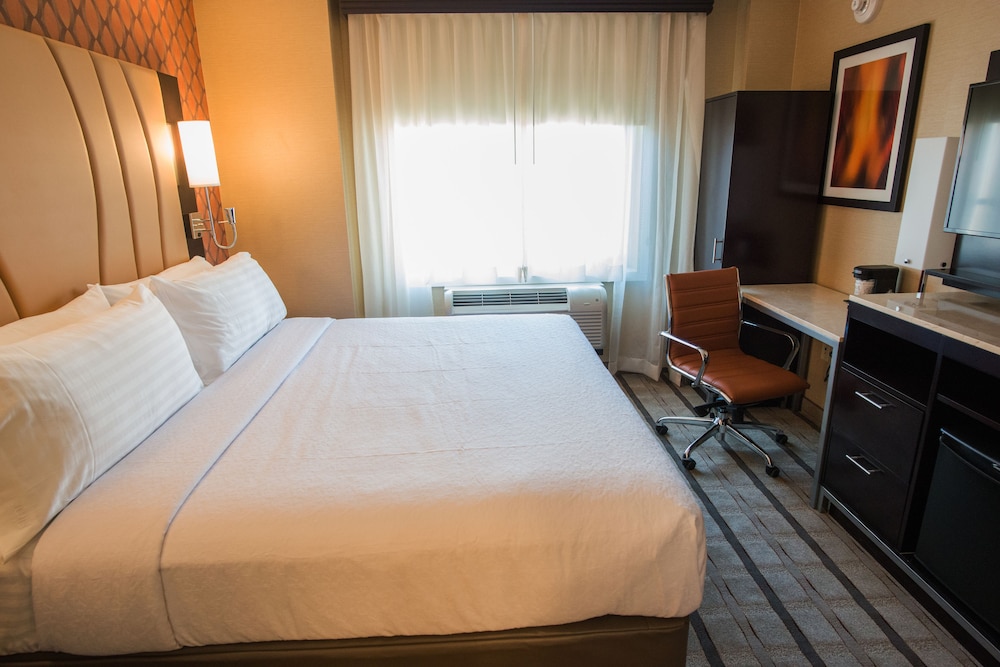 Standard Room, 1 King Bed, Accessible (Communications, Roll-In Shower)