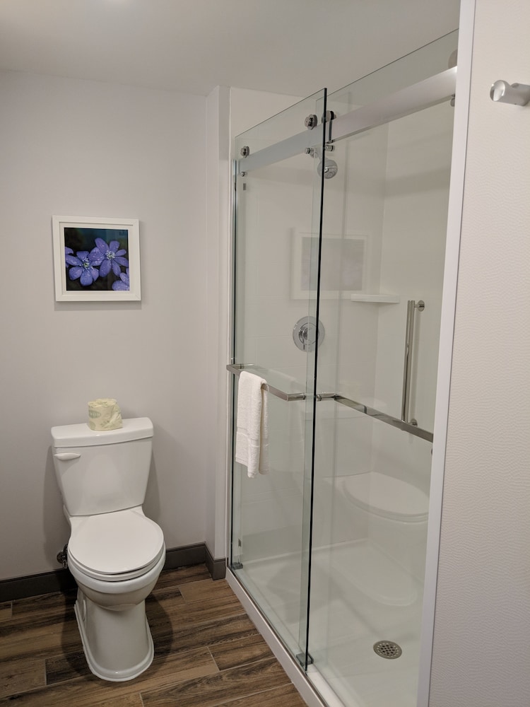 Room, 1 King Bed with Sofa bed, Accessible, Refrigerator (Hearing)
