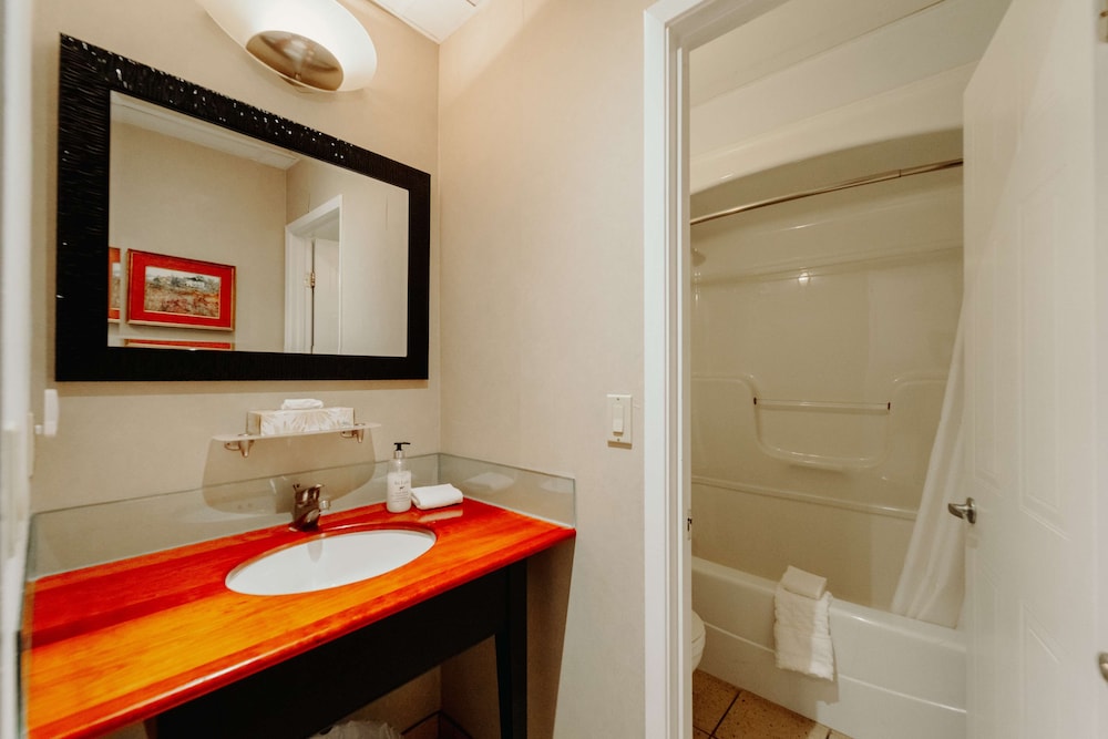Standard Room, 1 King Bed, Non Smoking, Jetted Tub (No Elevator Access) photo 3