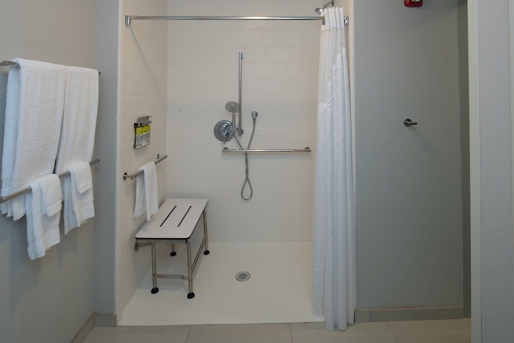 Suite, 1 King Bed, Accessible (Hearing, Roll-In Shower) - Photo 1