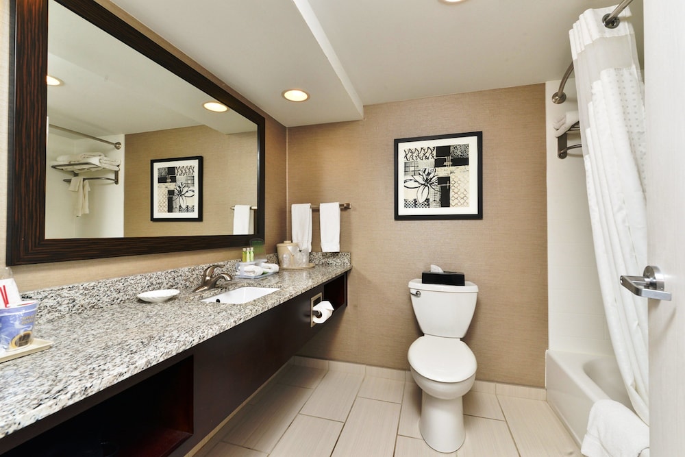 Standard Room, 1 King Bed, Accessible (Communication Accessible) - Photo 3