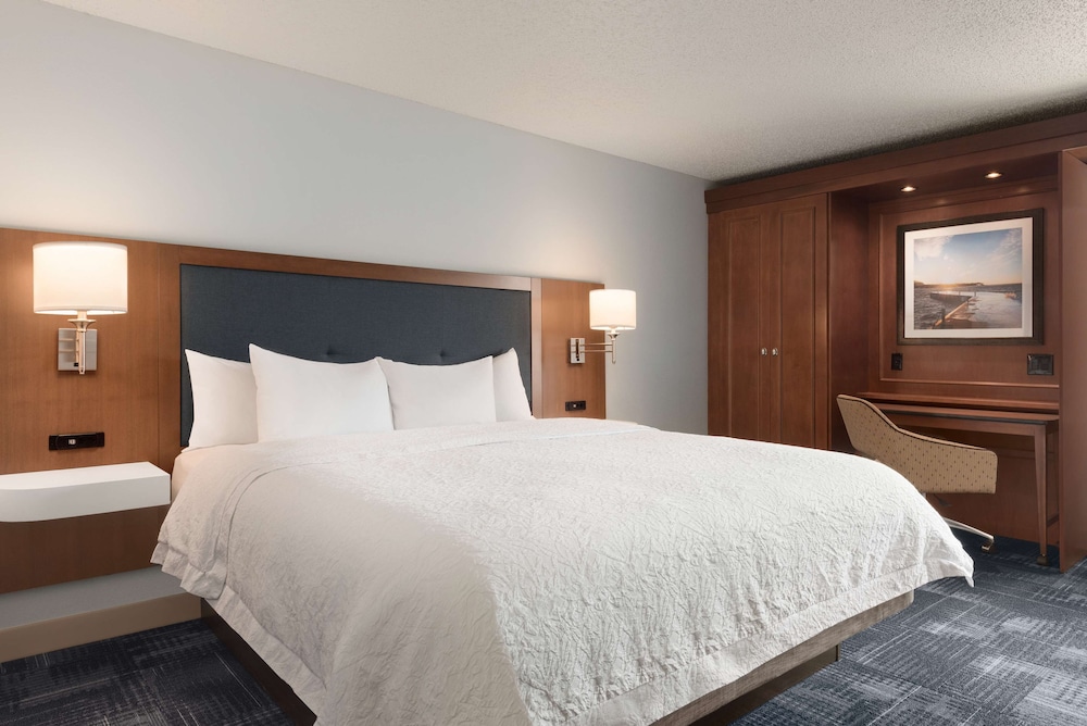 Room, 1 King Bed, Non Smoking - Photo 4
