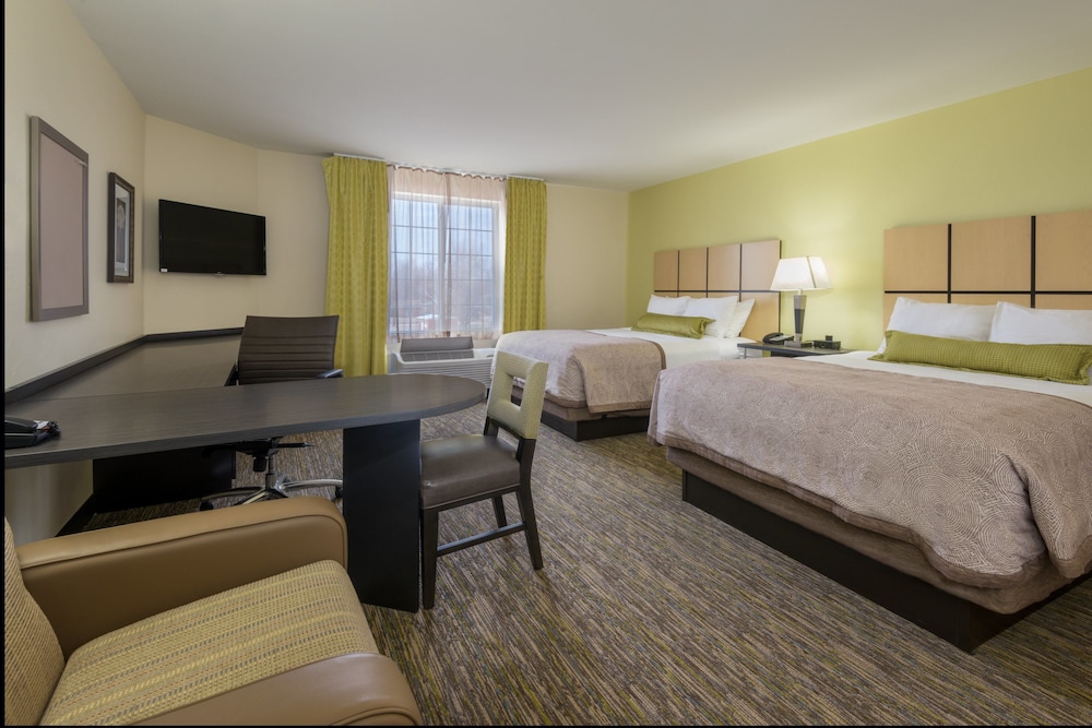 Studio Suite, 2 Queen Beds photo 1