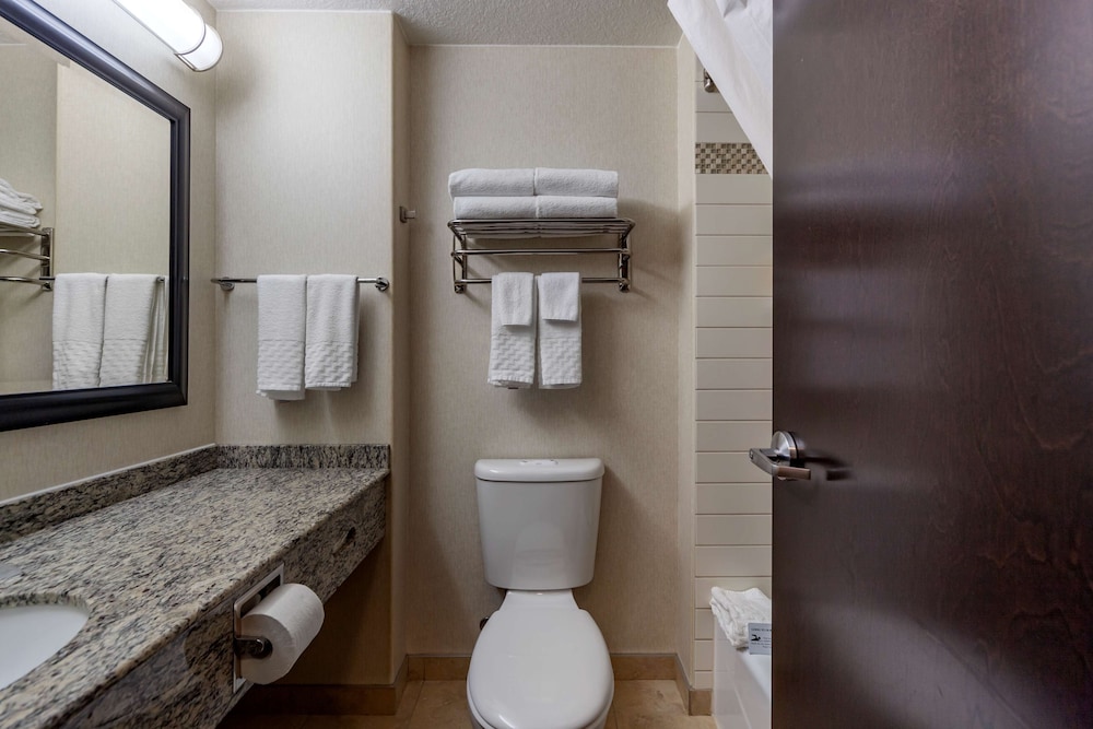 Suite, 1 King Bed, Non Smoking, Refrigerator & Microwave (Shower Only;with Sofabed) photo 2