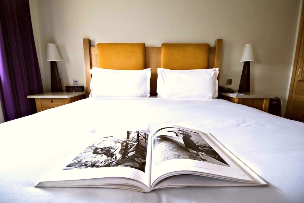 Classic Suite, 1 King Bed with Sofa bed, River View photo 3