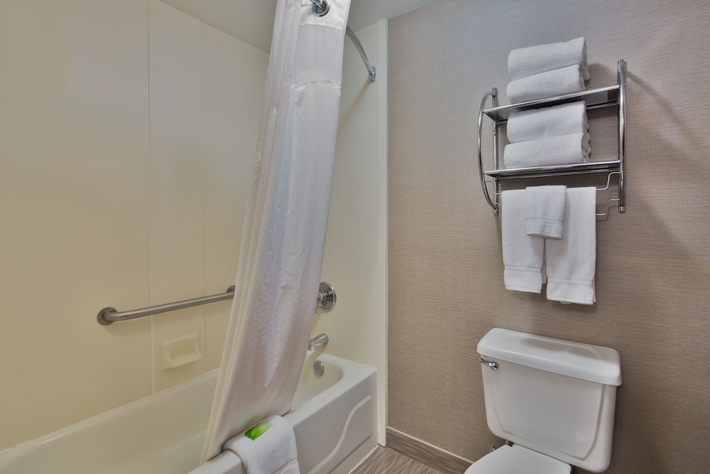 Suite, 1 King Bed - Photo 6