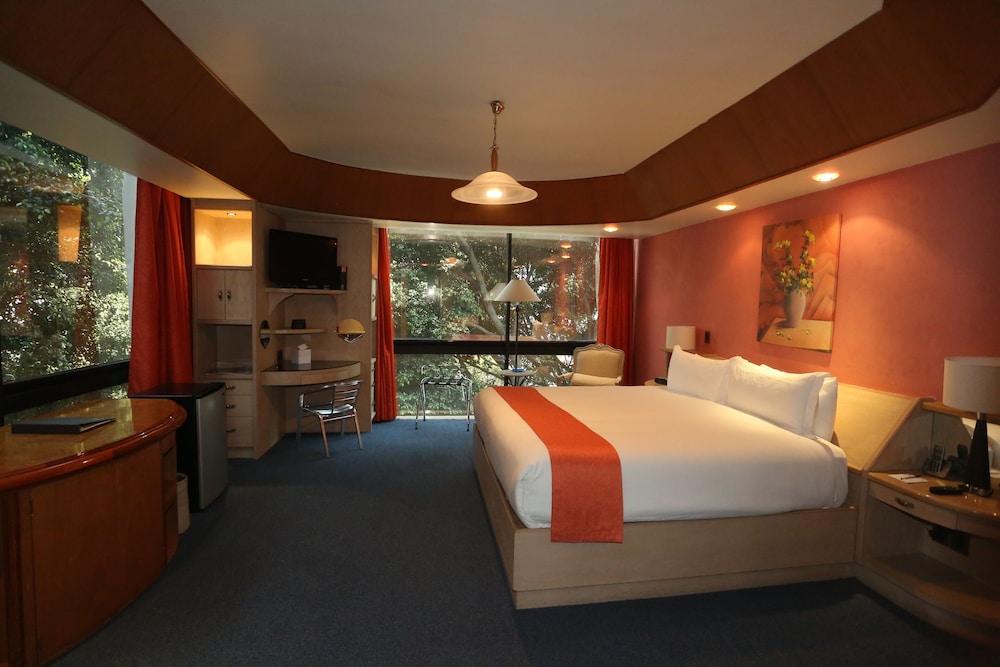 Junior Suite, 1 King Bed photo 3