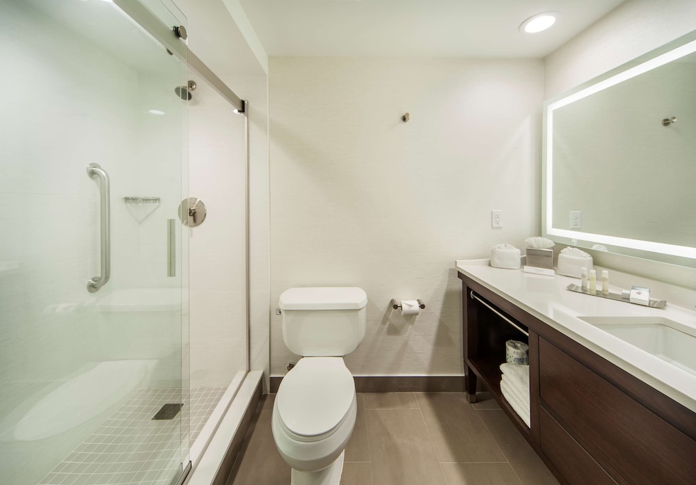 Studio, 1 King Bed, Accessible (Mobility & Hearing, Roll-in Shower) photo 2