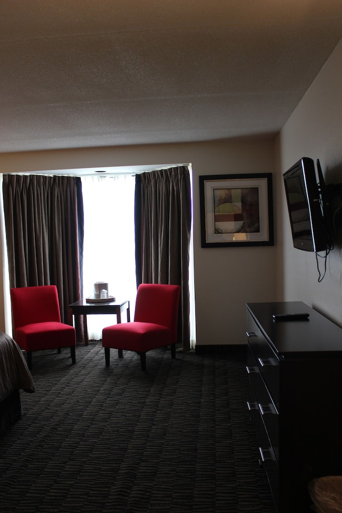 Suite, 1 King Bed