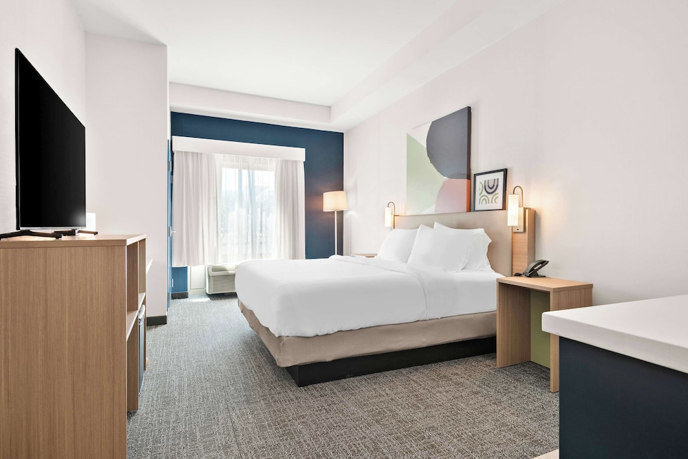 Room, 1 King Bed, Accessible (Mobility & Hearing, Roll-in Shower) photo 2