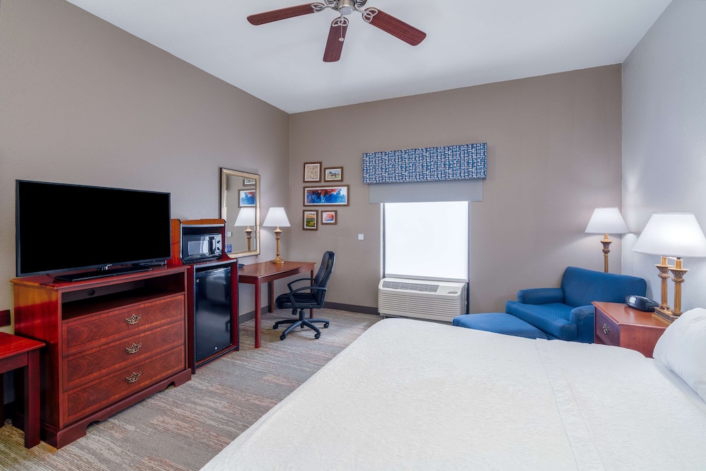 Room, 1 King Bed, Accessible (Roll-In Shower) - Photo 1