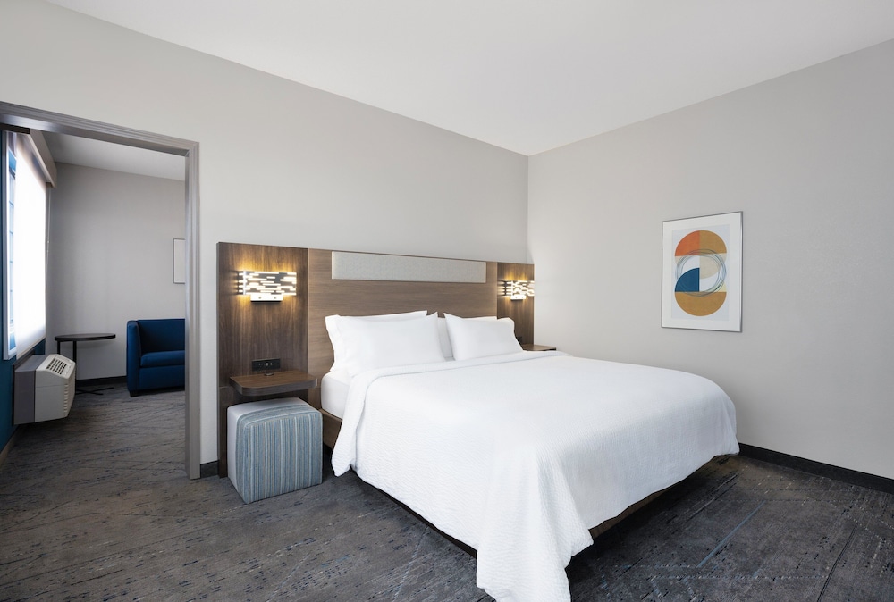 Suite, 1 King Bed with Sofa bed