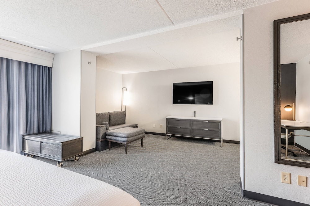 Room, 1 King Bed with Sofa bed (Mobility/Hearing Access, Roll-In Shwr) - Photo 3