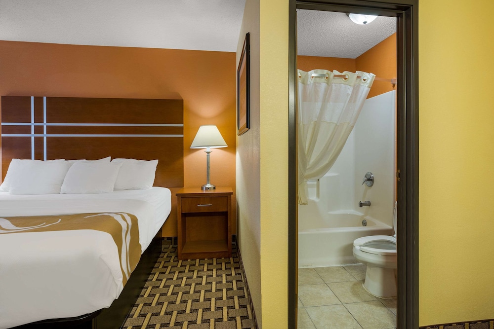 Standard Room, 1 King Bed with Sofa bed, Non Smoking photo 3