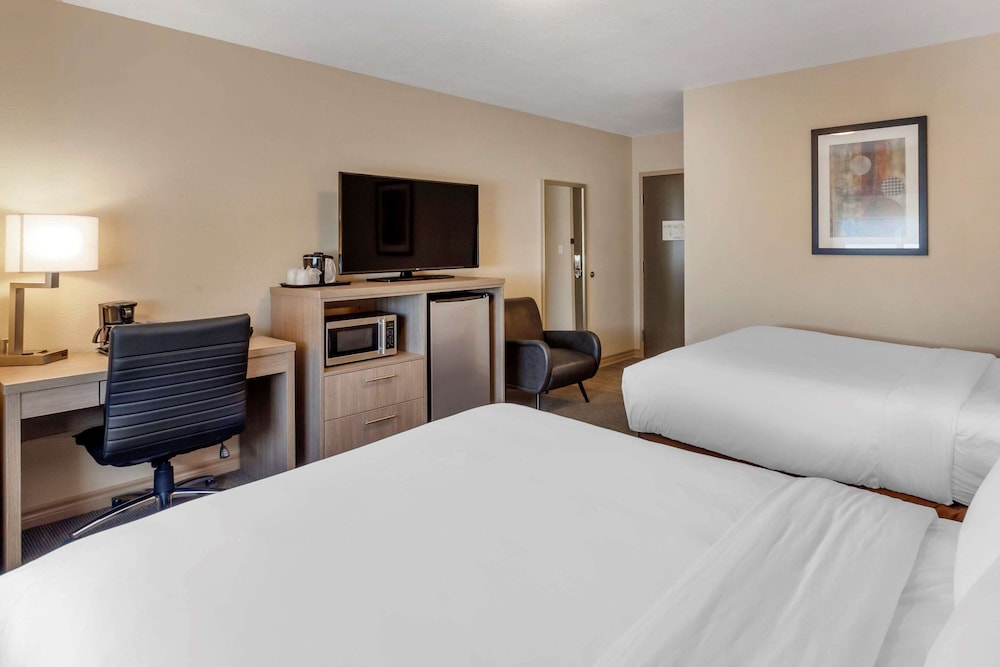 2 Double Beds - Photo 4