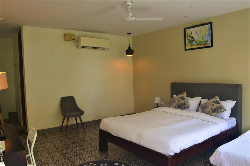 Deluxe Room - Photo 4