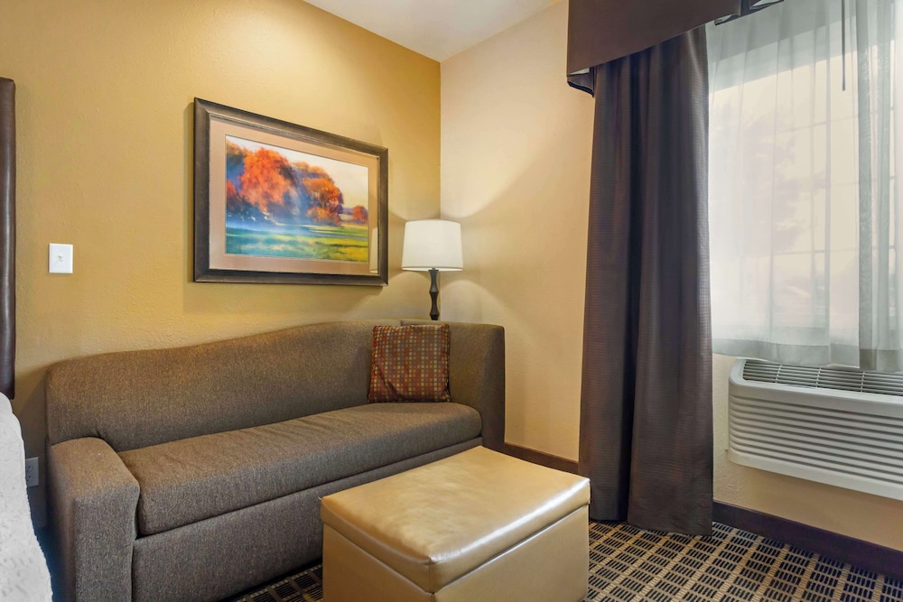 Standard Room, 1 King Bed With Sofa Bed, Accessible, Non Smoking (With Sofabed)
