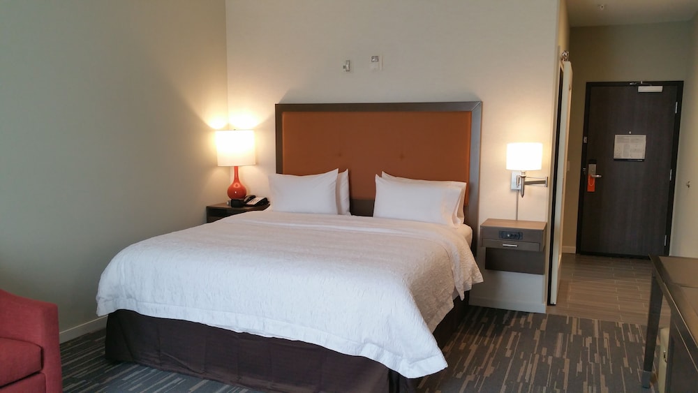 Room, 1 King Bed, Accessible, Bathtub (Mobility & Hearing)