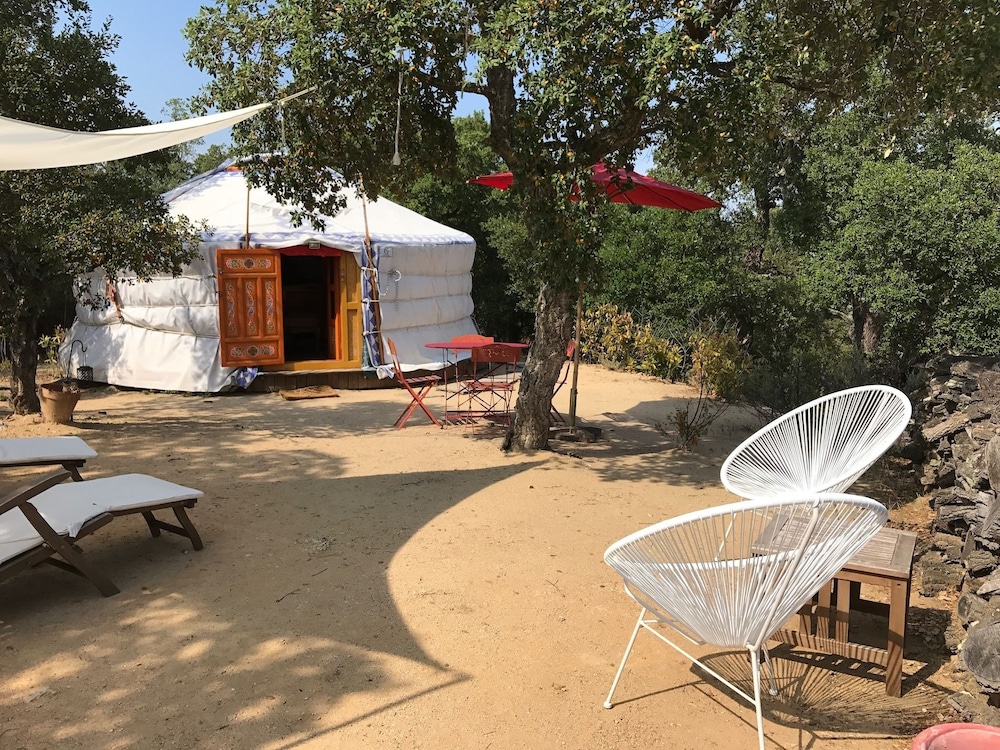 Yurt 1 photo 2