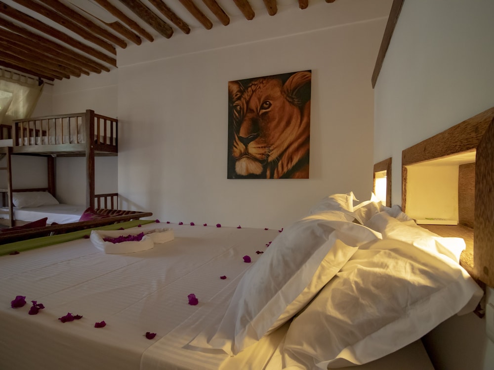 Standard Double Or Twin Room photo 1