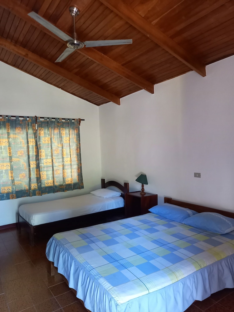 Twin Room, Garden View photo 2