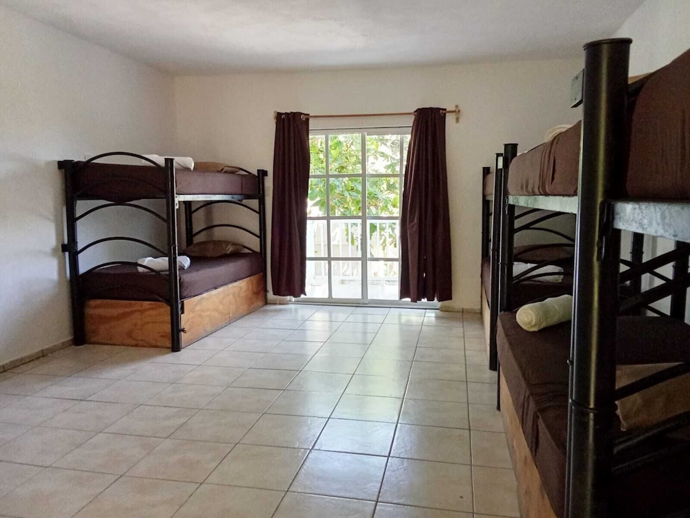 Basic Shared Dormitory photo 3
