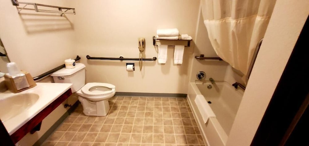 Standard Single Room, 1 Queen Bed, Accessible, Non Smoking photo 3