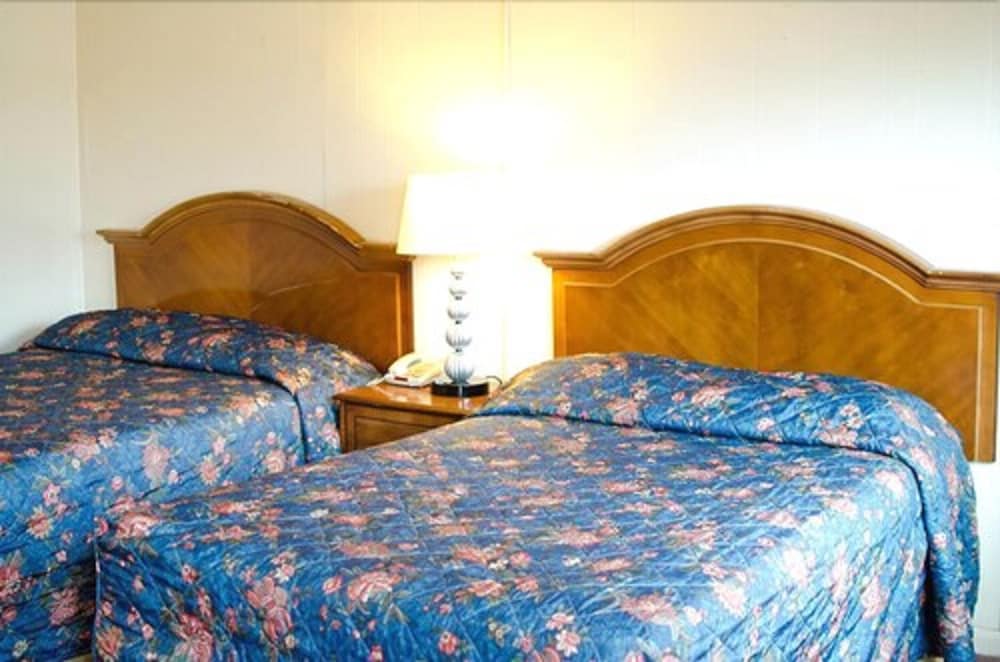 Basic Room, 2 Double Beds photo 3