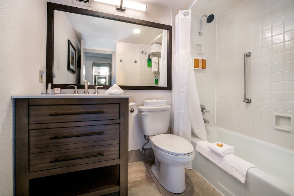 Suite, 1 Bedroom, Accessible Bathtub (Communications, Mobility) - Photo 4