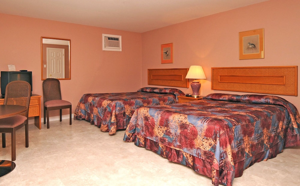 Standard Double Room photo 1