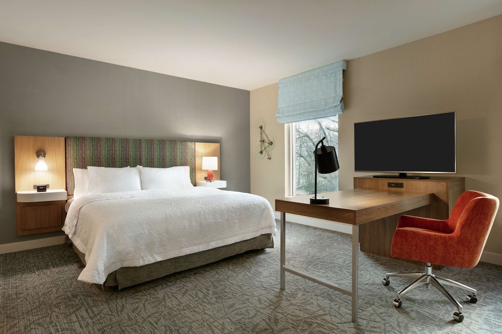 Room, 1 King Bed, Accessible (Mobility & Hearing) photo 2