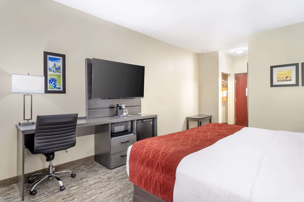 Standard Single Room, 1 King Bed, Non Smoking - Photo 6